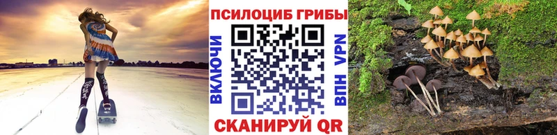 Галлюциногенные грибы прущие грибы Вязьма