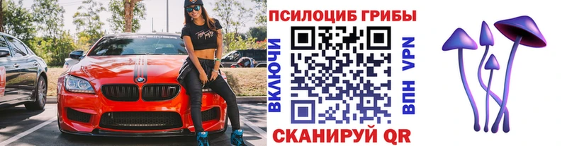 Галлюциногенные грибы MAGIC MUSHROOMS  Купить закладки  Вязьма 