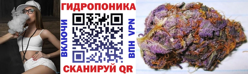 Купить закладки  Вязьма  Каннабис сатива 